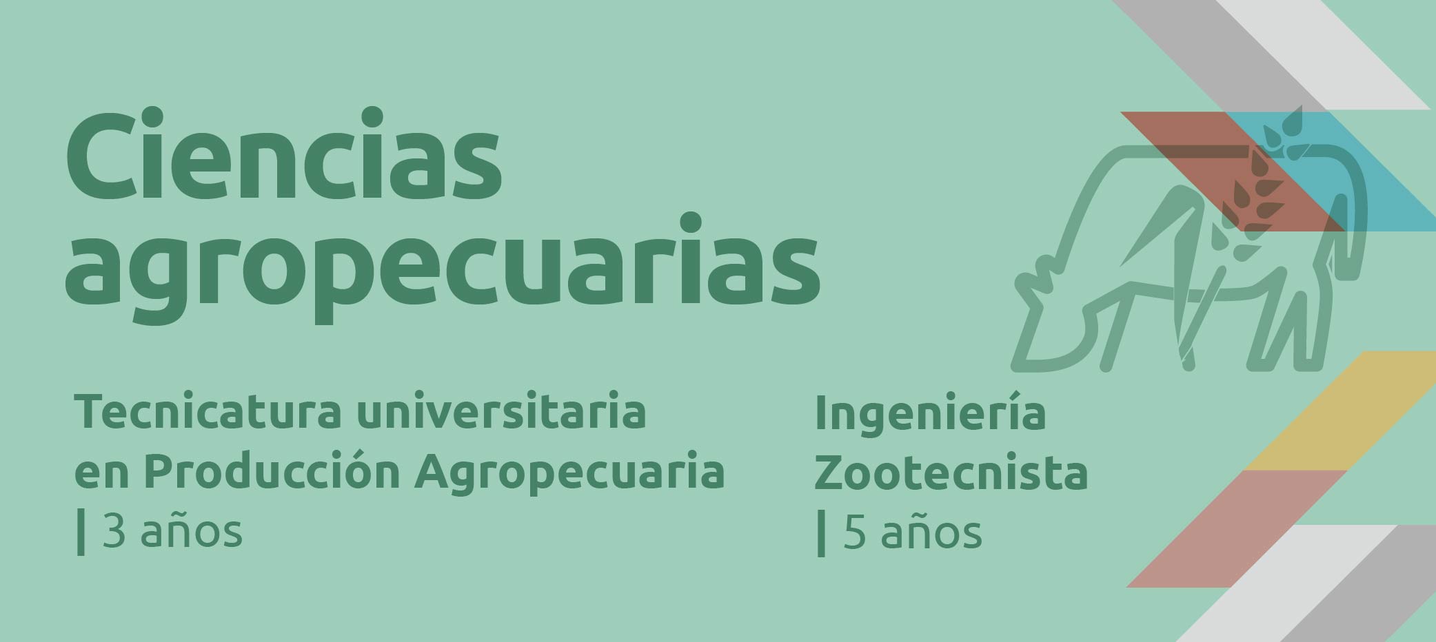 Boton Cs Agro