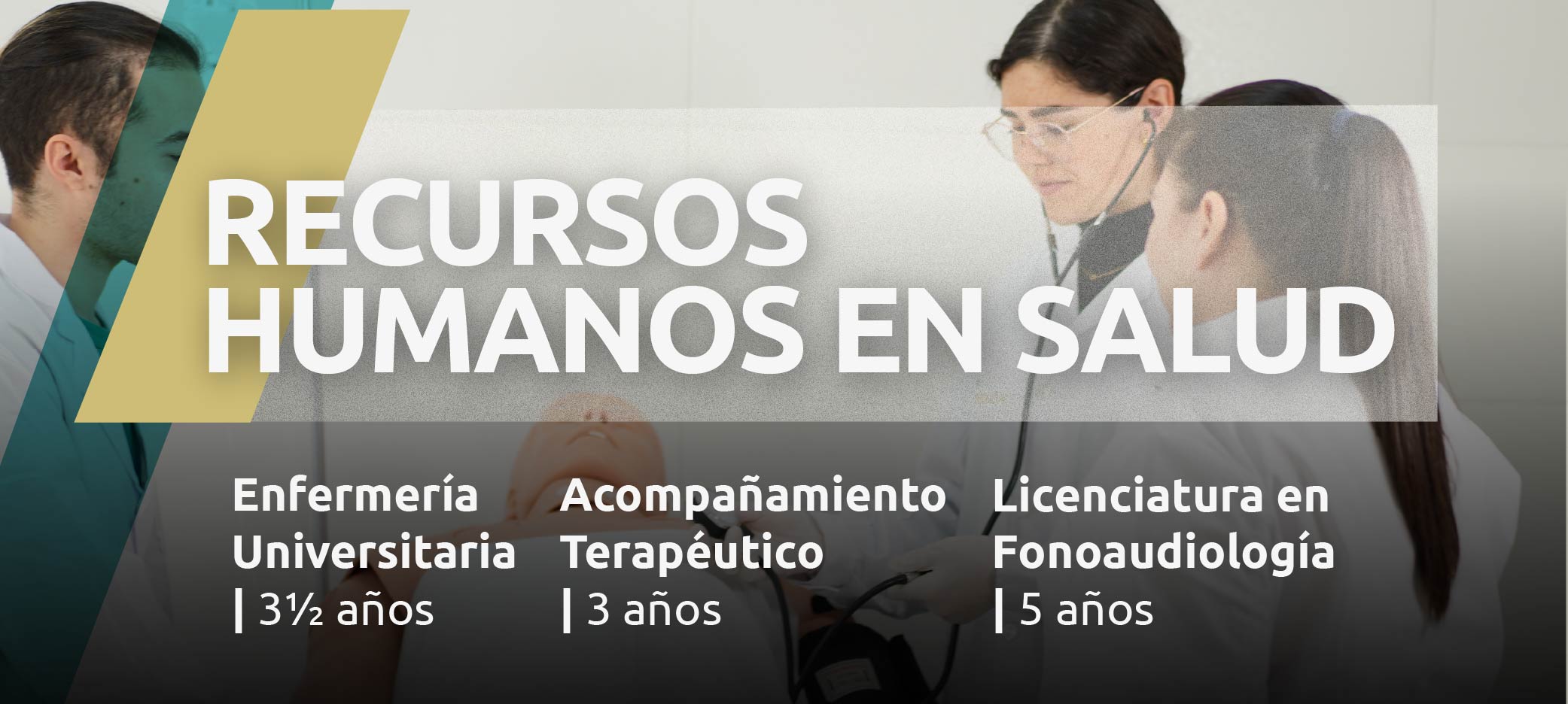 Web 11